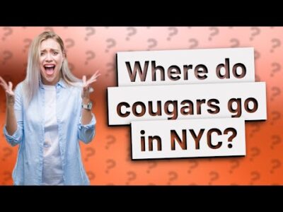 Where do cougars go in NYC?