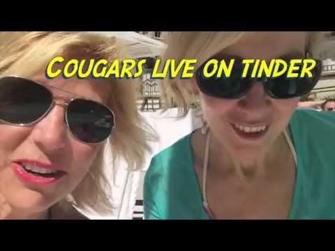 How to Approach a Cougar Online